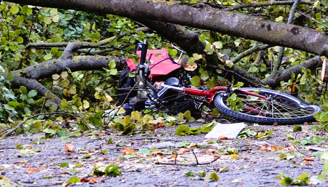 30 m Eiche stürzt auf 2 Radfahrer und Autos! Passanten schwer verletzt! Schwere Unwetterschäden! 